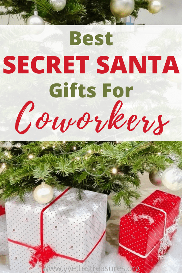 The Best Secret Santa Gifts For Coworkers At Every Price Point My XXX 