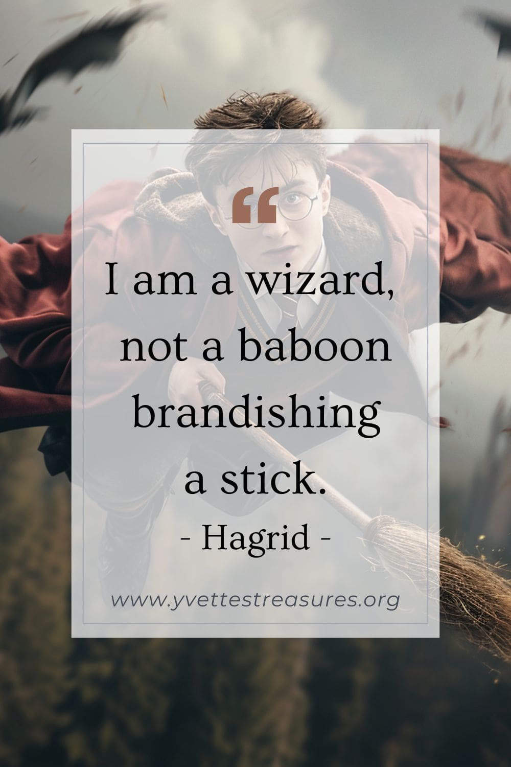 I am a wizard not a boboon brandishing a stick by Hagrid